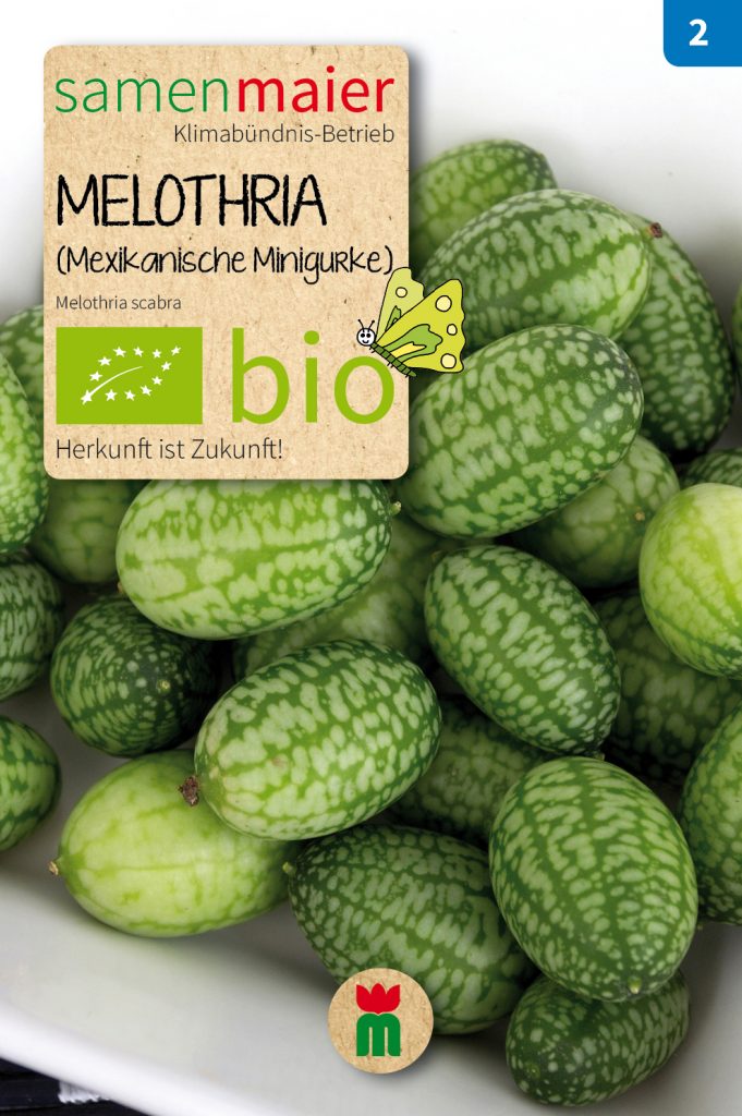 BIO Gemüsesamen Melothria (Mexikanische Minigurke)