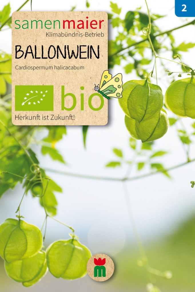 BIO Ballonwein
