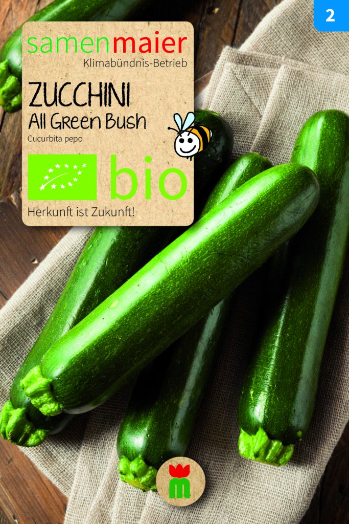 BIO Gemüsesamen Zucchini "All Green Bush"