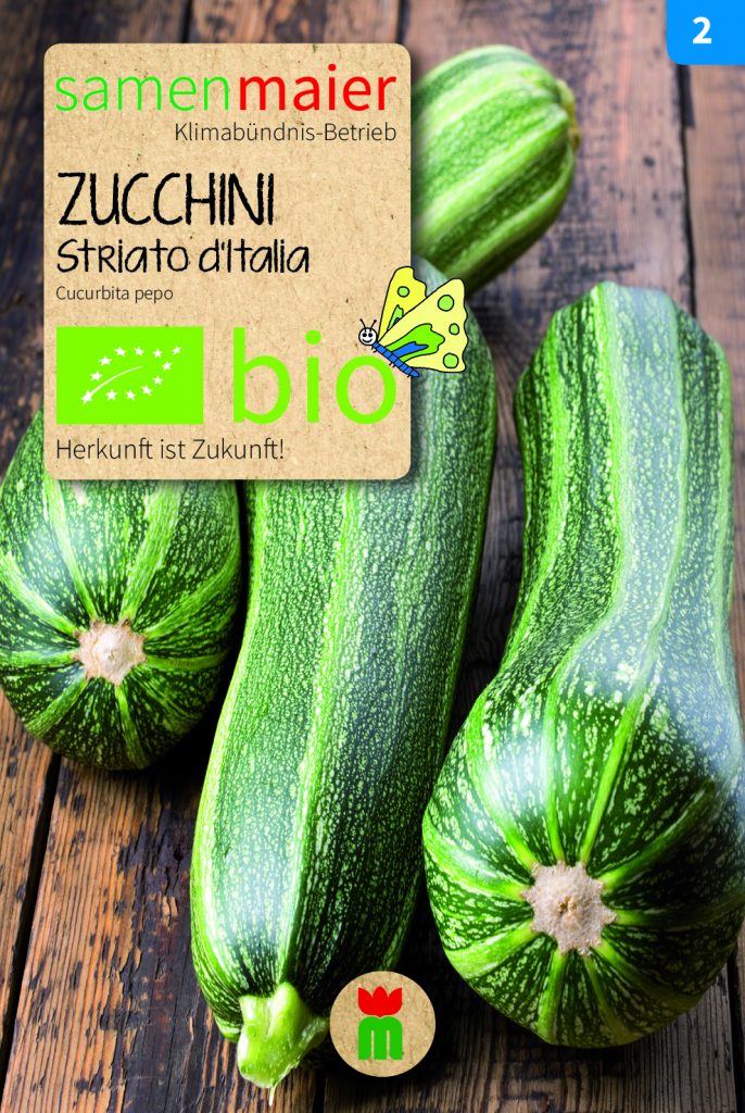 BIO Gemüsesamen Zucchini "Striato d’Italia"